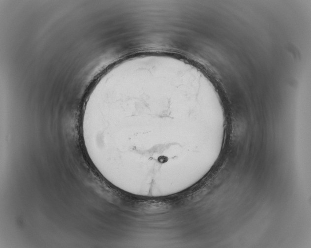 X0000112941314200909071046