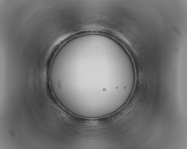 X0000112941315200909071046