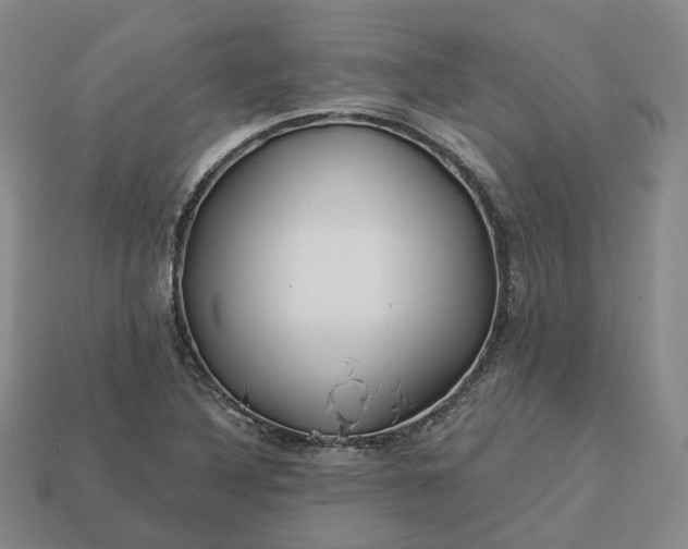 X0000112941316200909071046