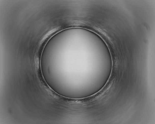 X0000112941317200909071046