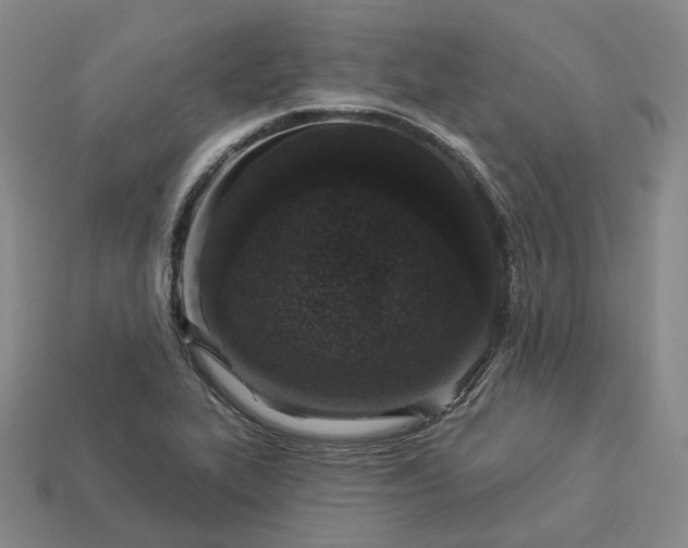 X0000112941319200909071046