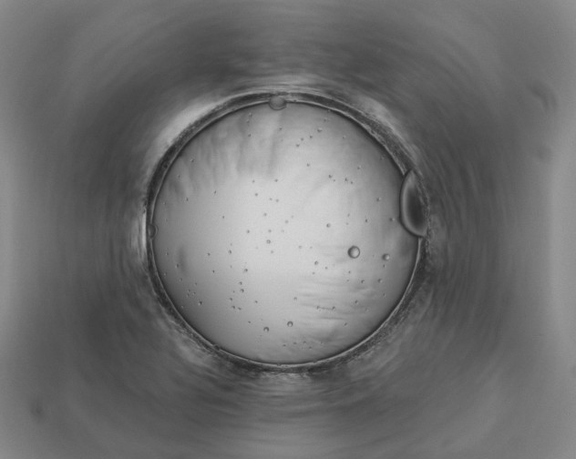 X0000112941320200909071046