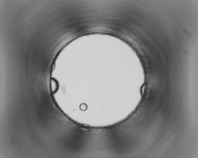 X0000112941322200909071046