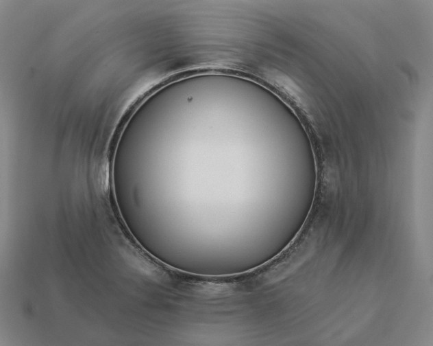 X0000112941324200909071046