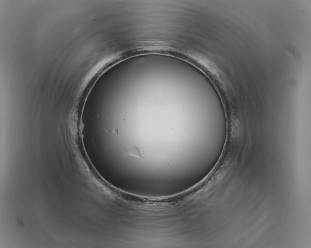 X0000112941325200909071046