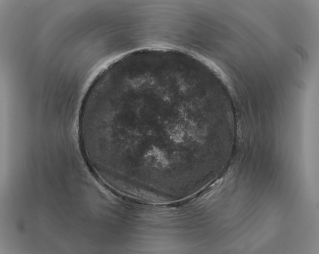 X0000112941327200909071046