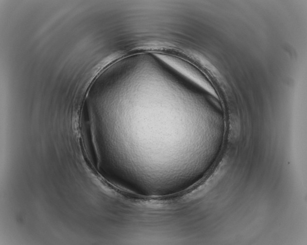 X0000112941329200909071046