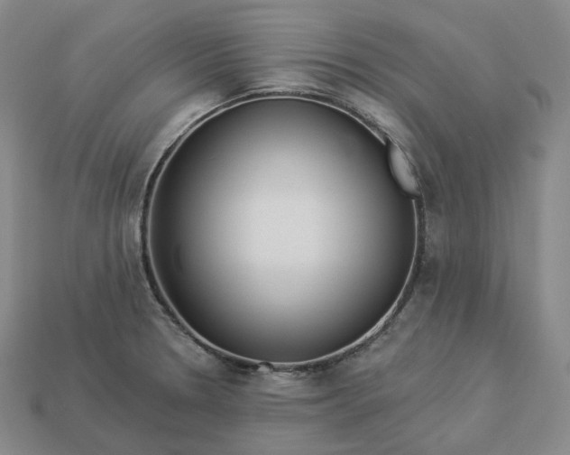 X0000112941330200909071046