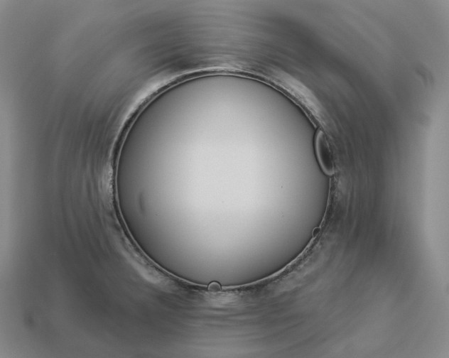 X0000112941332200909071046