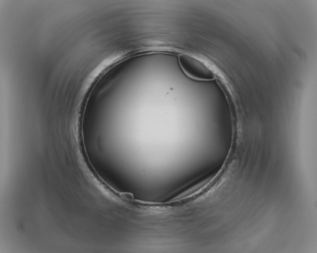 X0000112941333200909071046