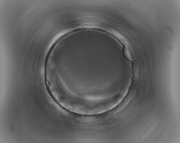 X0000112941334200909071046