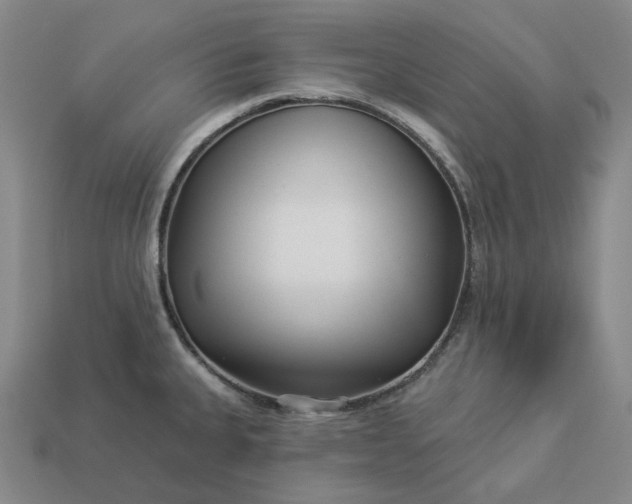 X0000112941335200909071046