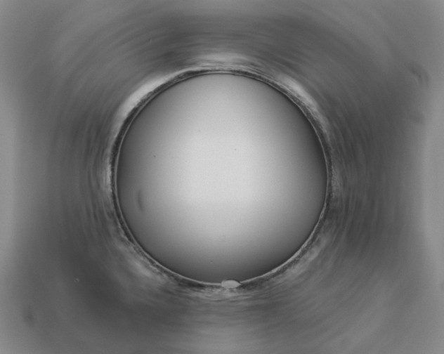 X0000112941336200909071046