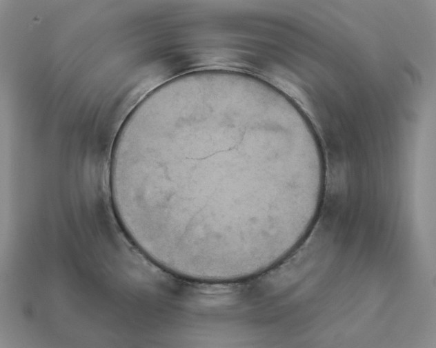 X0000112941338200909071046