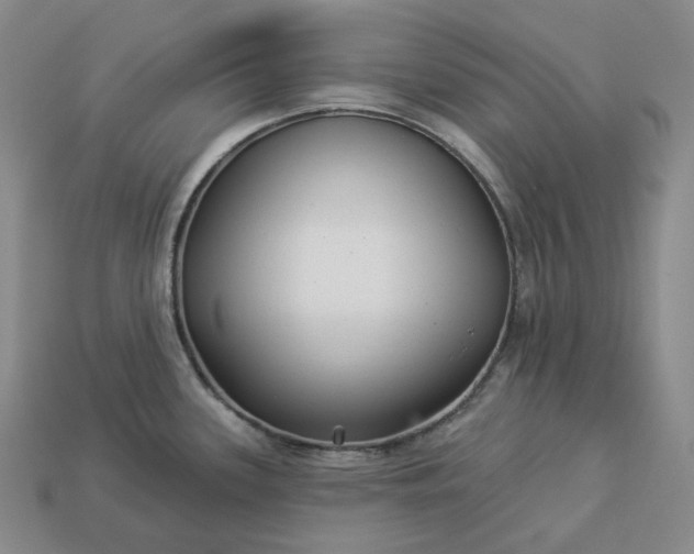 X0000112941339200909071046