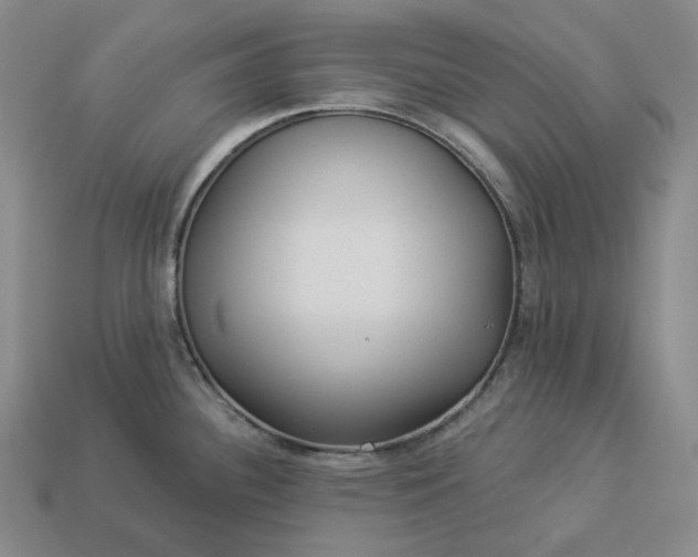 X0000112941340200909071046