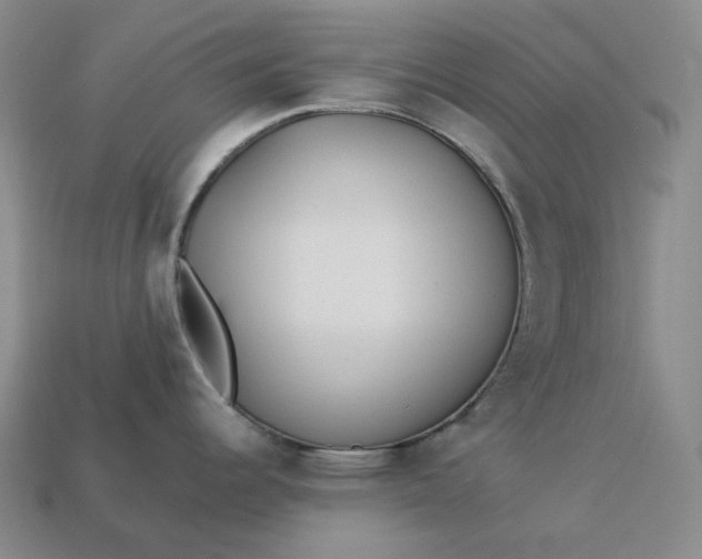 X0000112941344200909071046