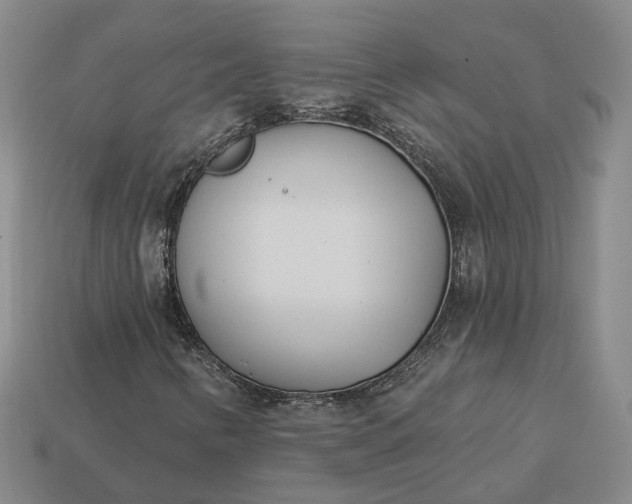 X0000112941346200909071046