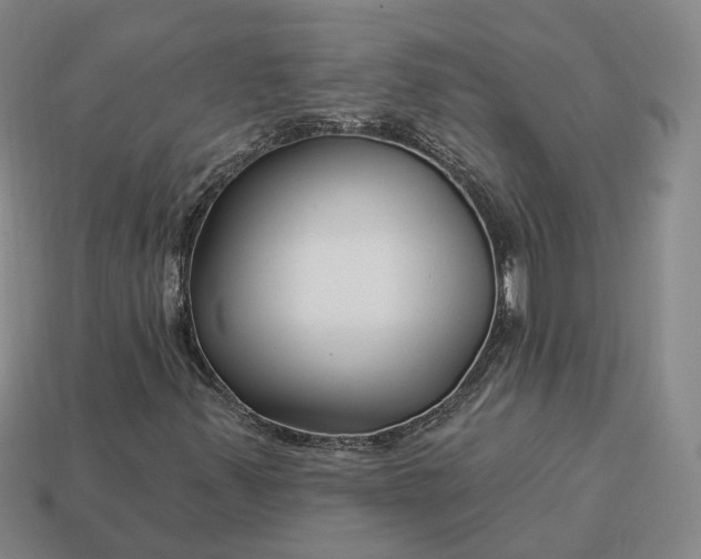 X0000112941347200909071046