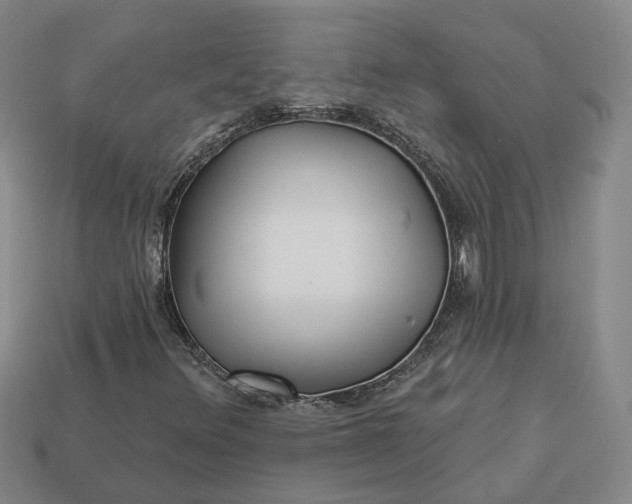 X0000112941348200909071046