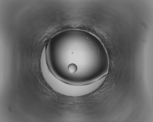 X0000112941349200909071046