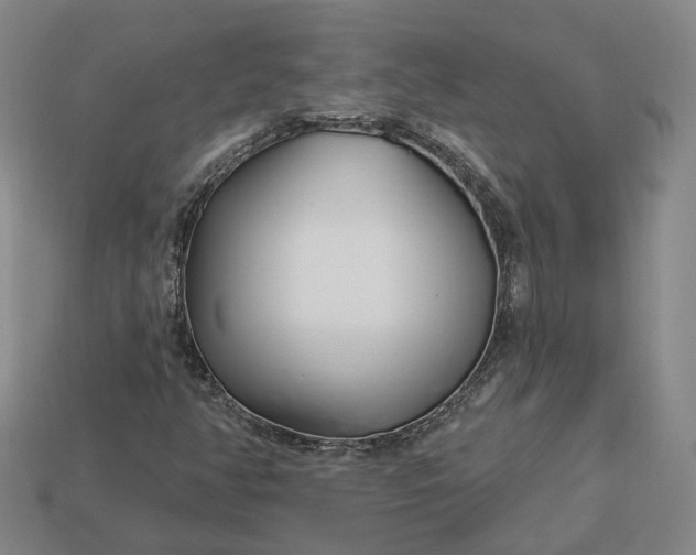 X0000112941350200909071046