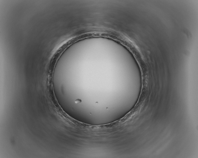 X0000112941352200909071046