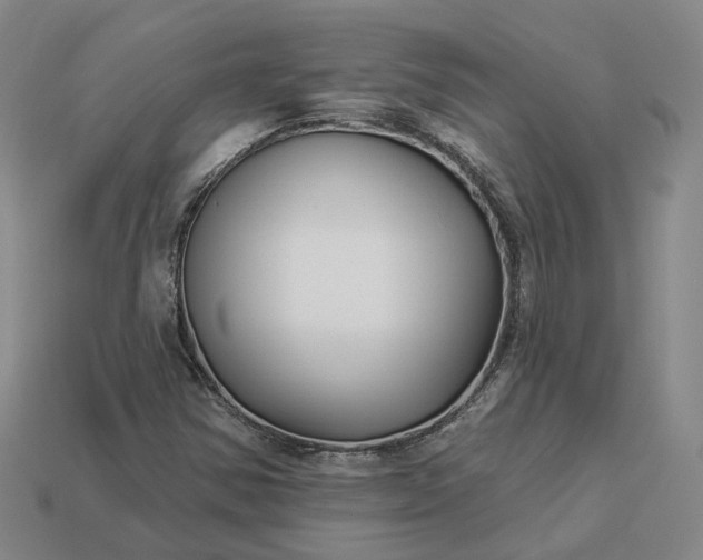 X0000112941354200909071046