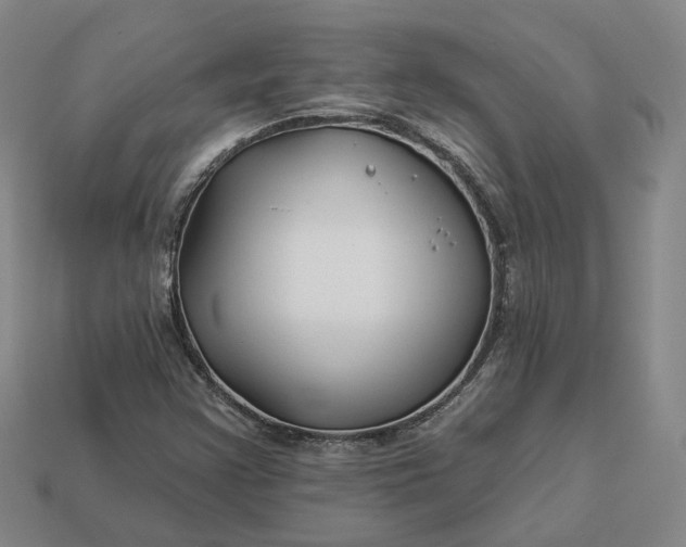 X0000112941355200909071046