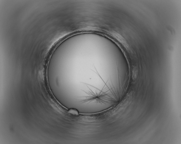 X0000112941356200909071045