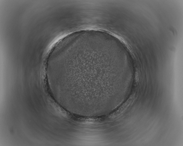 X0000112941359200909071045