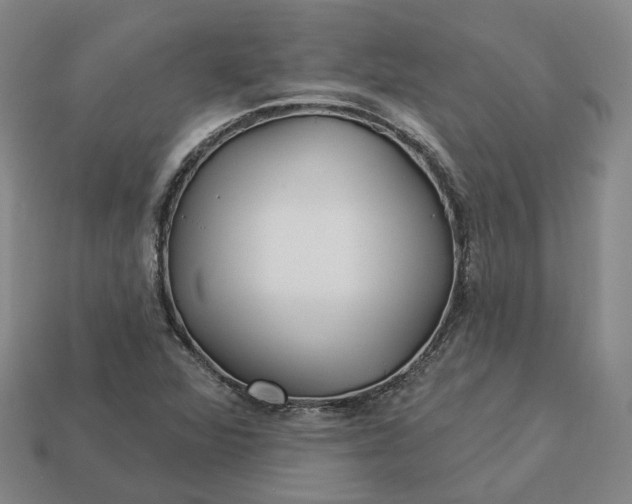 X0000112941360200909071045