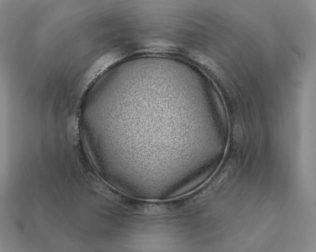 X0000112941362200909071045