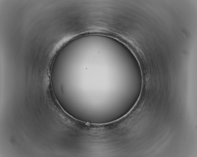 X0000112941363200909071045