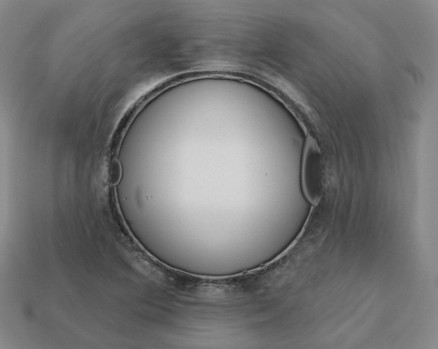 X0000112941364200909071045