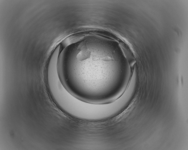 X0000112941365200909071045