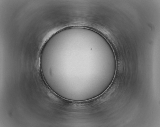 X0000112941366200909071045