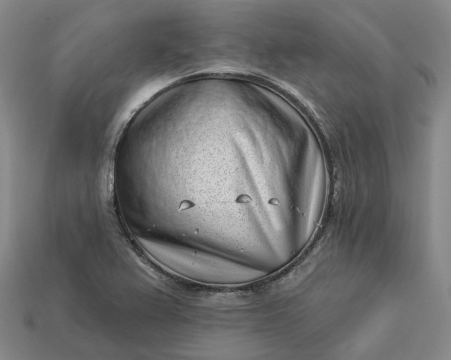 X0000112941367200909071045