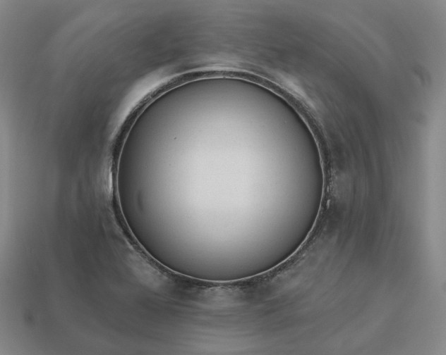 X0000112941368200909071045