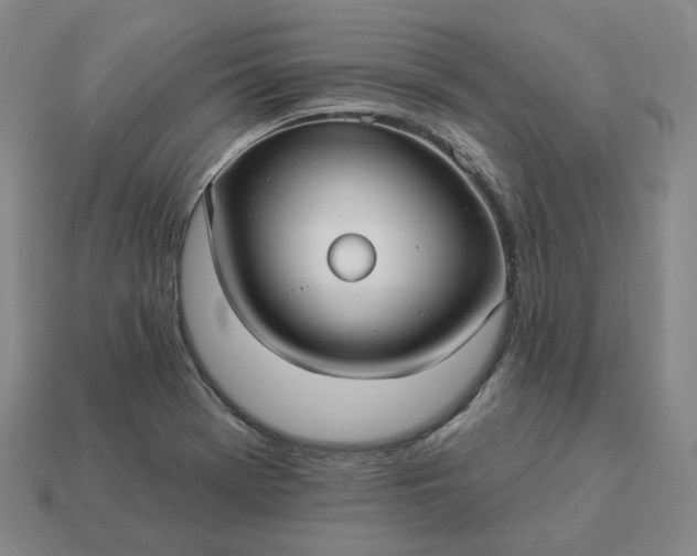 X0000112941369200909071045