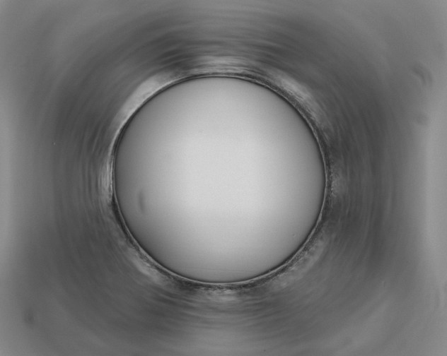 X0000112941370200909071045