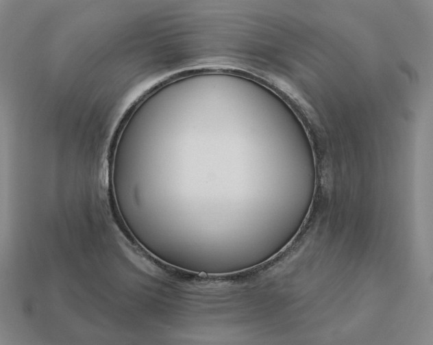 X0000112941372200909071045