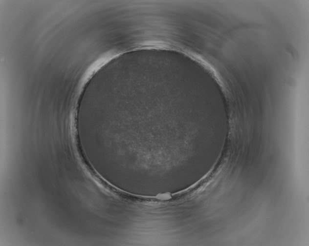 X0000112941373200909071045