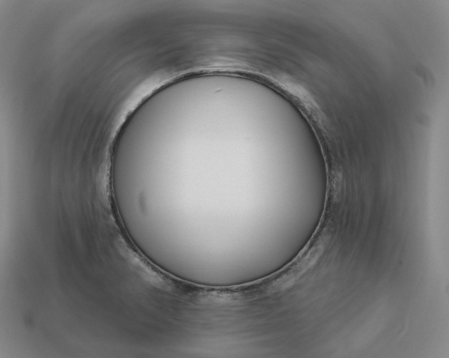 X0000112941374200909071045