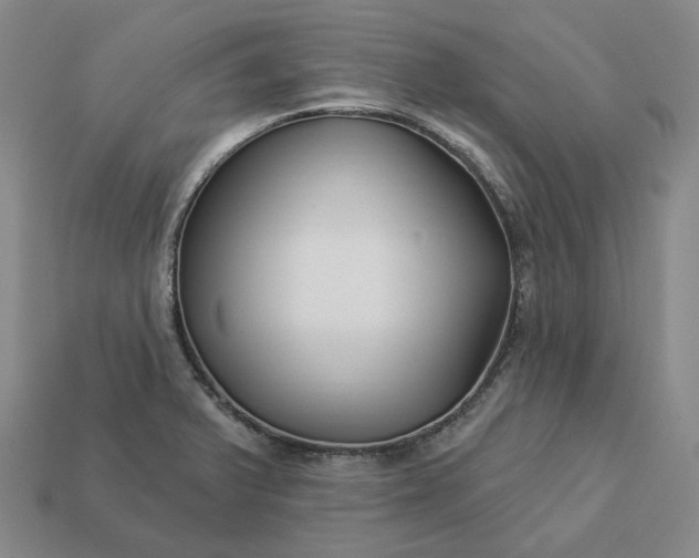 X0000112941375200909071045