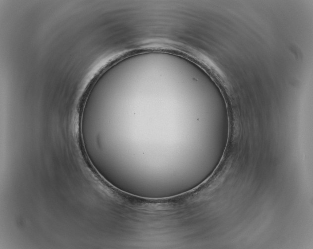 X0000112941376200909071045