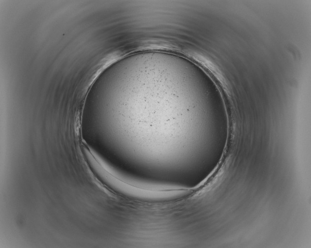 X0000112941377200909071045