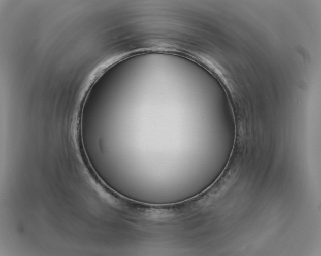 X0000112941379200909071045