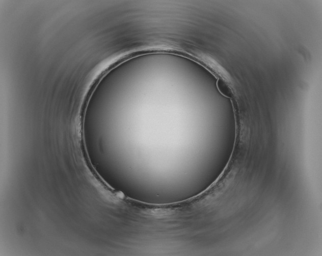 X0000112941380200909071045