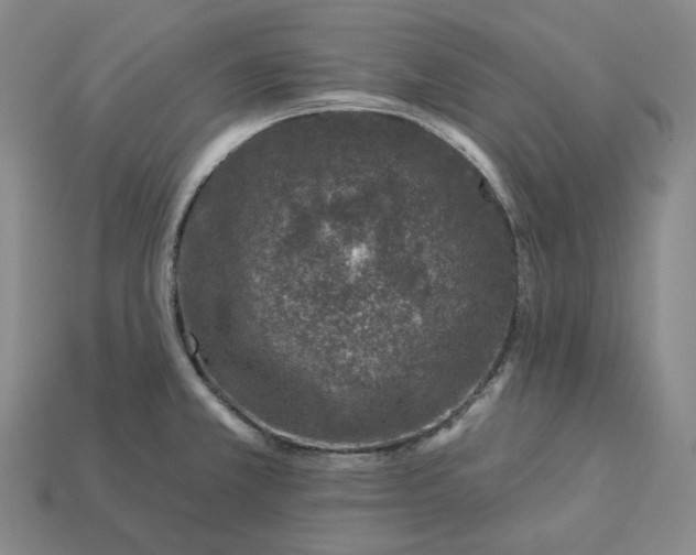 X0000112941381200909071045